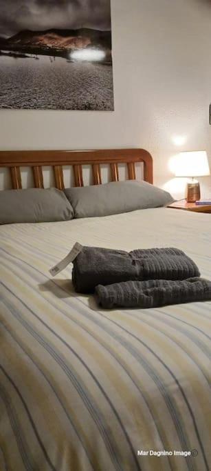 Apartamento Turistico Zaragoza Dış mekan fotoğraf